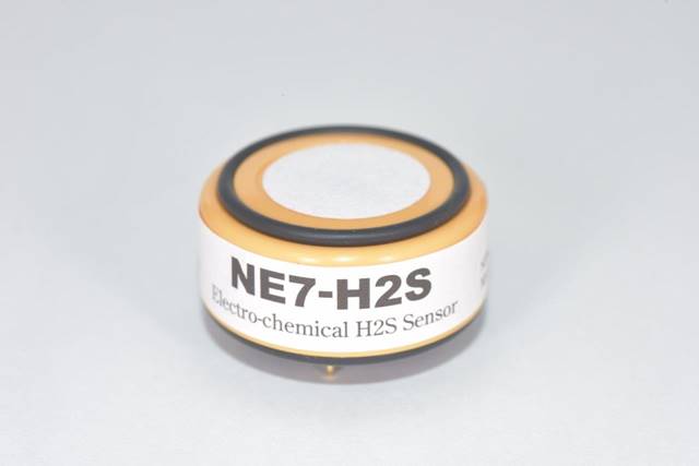 NE7-H2S